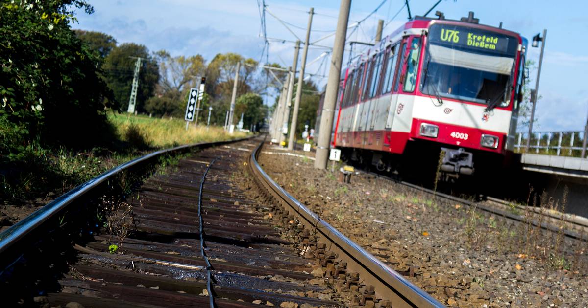 Gute Noten fürs nächtliche ÖPNV-Angebot ins Umland