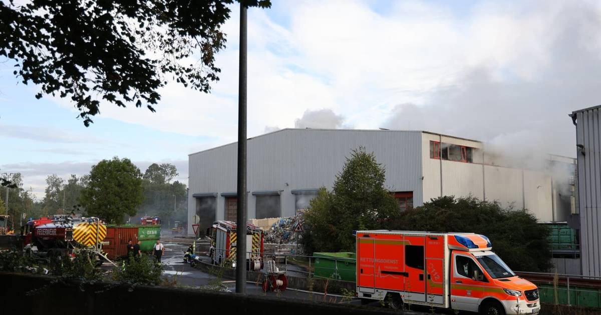 Brand bei RSAG, Großeinsatz der Feuerwehr
