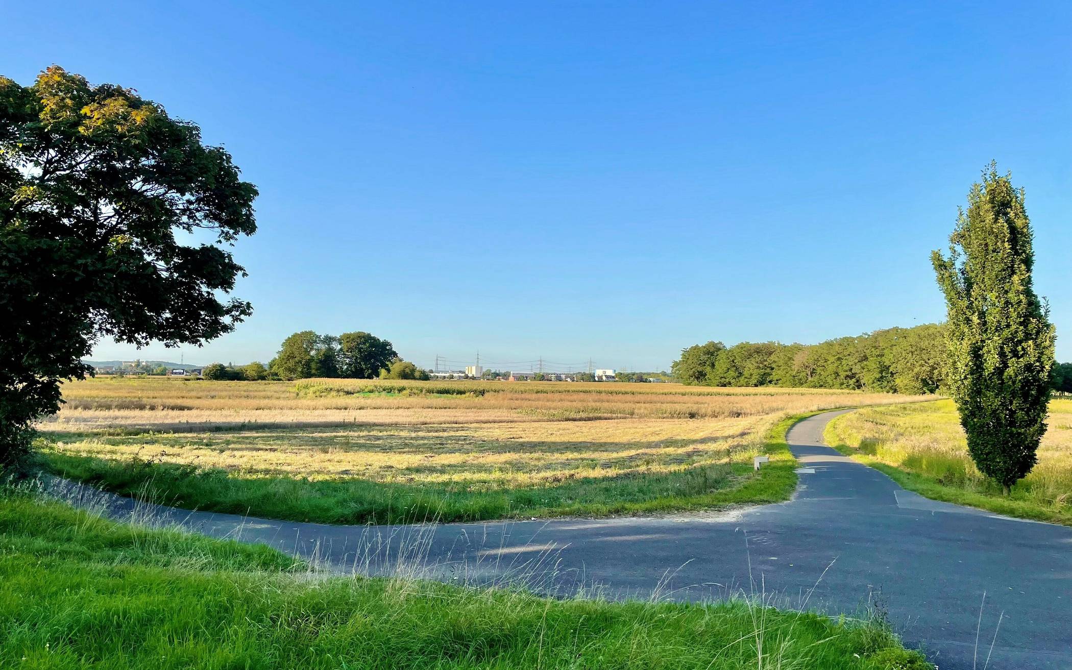  Das Areal „Auf dem Butterberg“ zwischen dem Sankt Augustiner Zentrum und Menden soll ein Wissenschafts- und Gründerpark werden. 