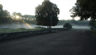Neblige Morgenlandschaft mit Sonne und Bäumen.