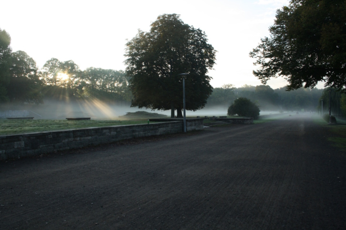 Neblige Morgenlandschaft mit Sonne und Bäumen.