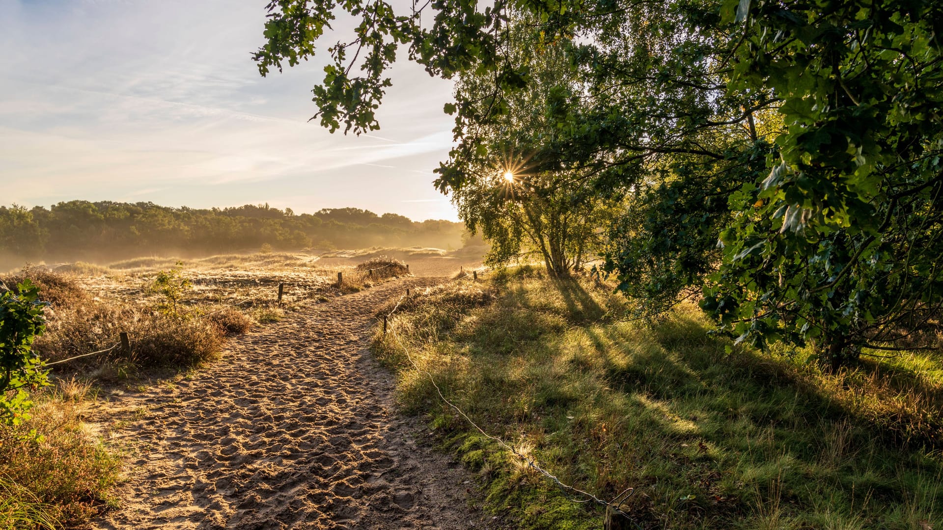 Weißer Sand, wohin das Auge reicht: In den Boberger Dünen kommt echtes Sylt-Feeling auf.