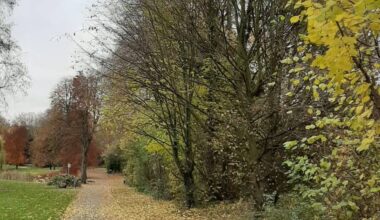 Bochum: Park in Hamme bekommt neues Leben