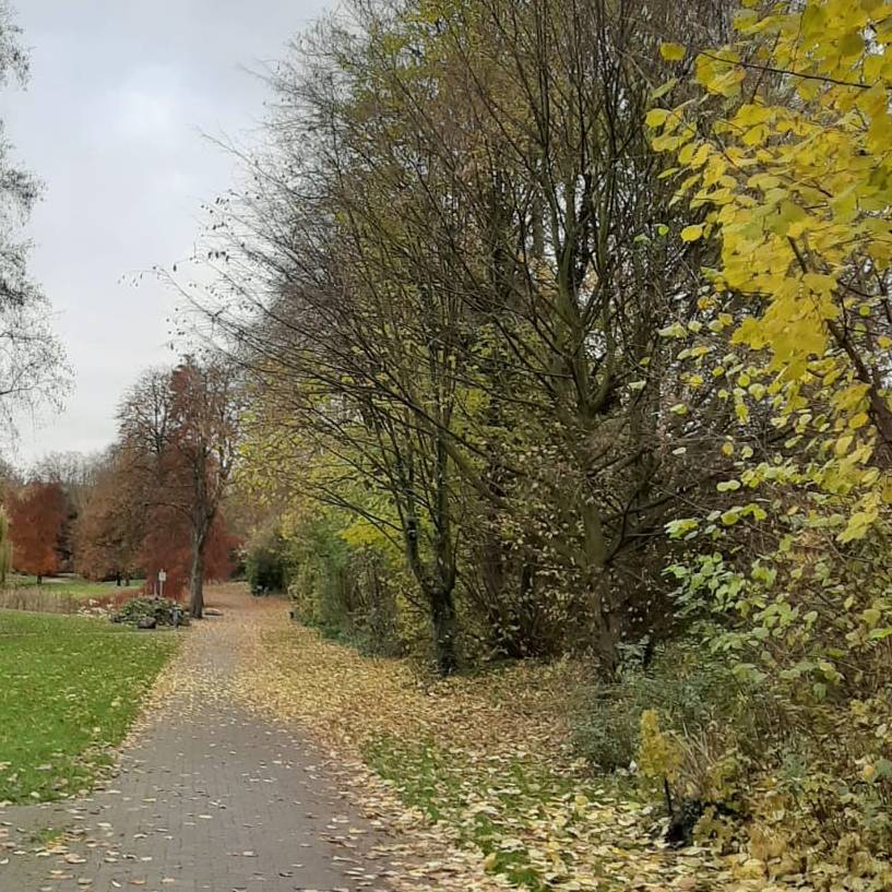 Bochum: Park in Hamme bekommt neues Leben