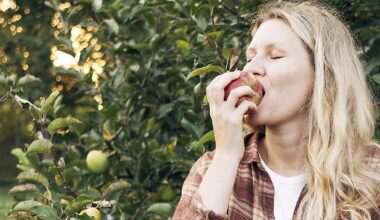 Ernährung: Wissenschaftler entwickeln Äpfel, die auch Allergiker essen können