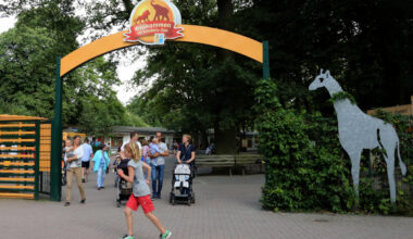 Pfleger im Zoo Hannover startet Experiment - irre Szenen im Gehege!