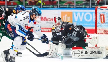 Ingolstadt schießt im Panther-Derby doppelt so oft wie Augsburg – verliert jedoch 2:4