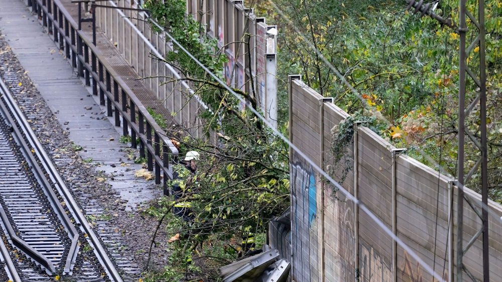 Der Baum hatte eine Lärmschutzwand durchbrochen und war auf den fahrenden Zug gefallen.