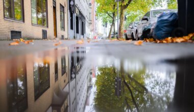 Polizeieinsatz - Tödliche Schüsse in Hannover: Haftbefehl für Hamburger - Panorama