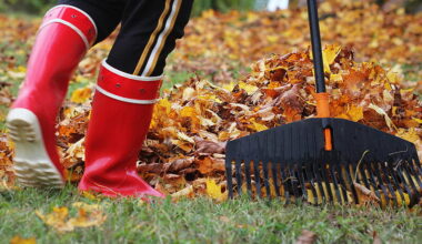 33.000 Kubikmeter Laub: Wer sie in München sammelt und wo sie landen