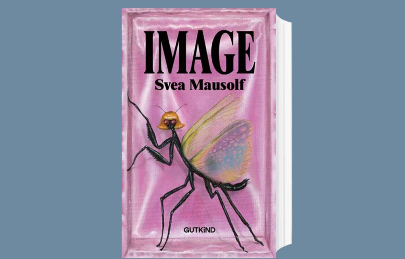Das Cover zum Buch „Image“ von Svea Mausolf