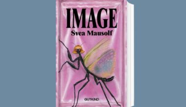 Das Cover zum Buch „Image“ von Svea Mausolf