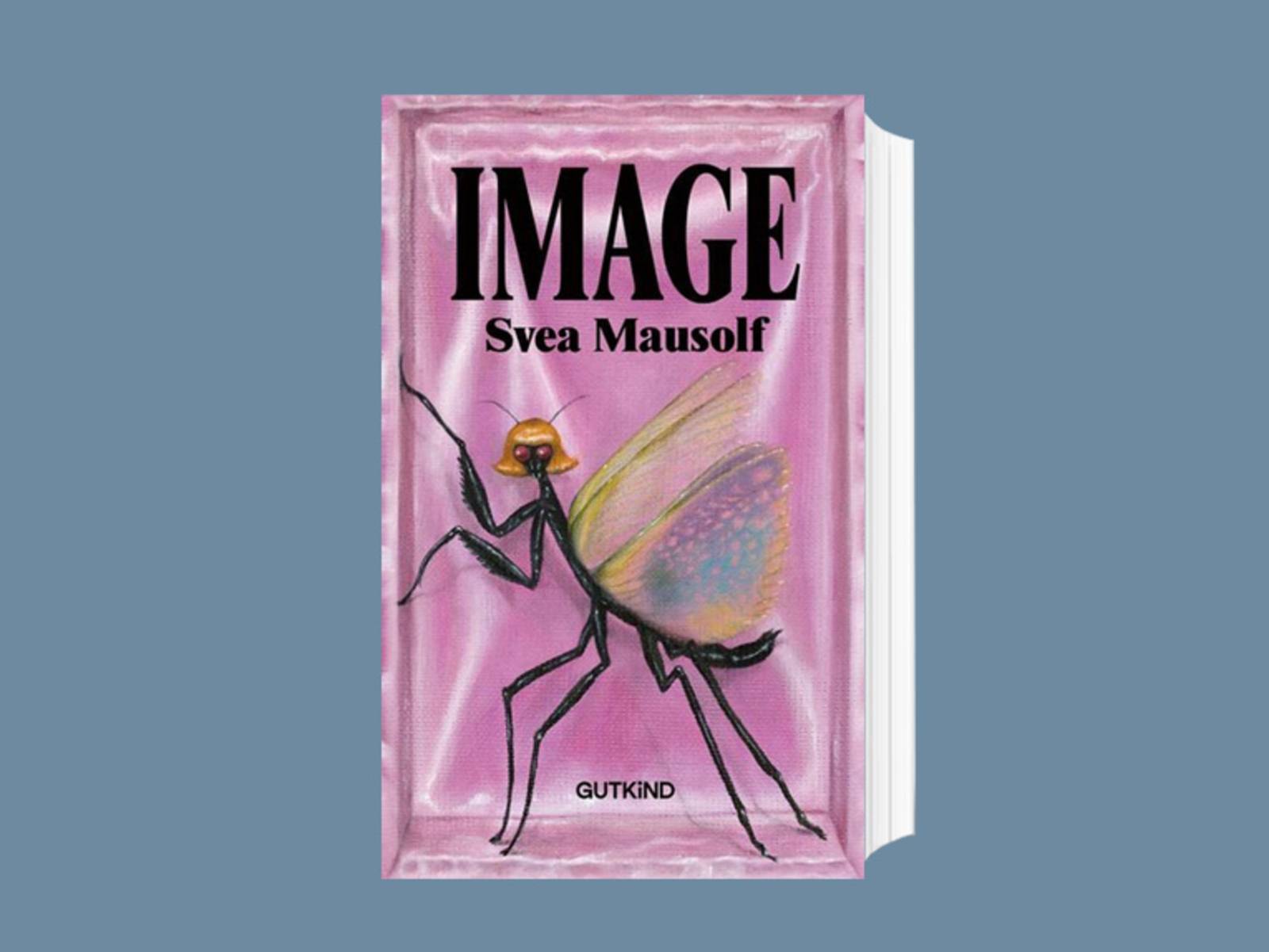 Das Cover zum Buch „Image“ von Svea Mausolf