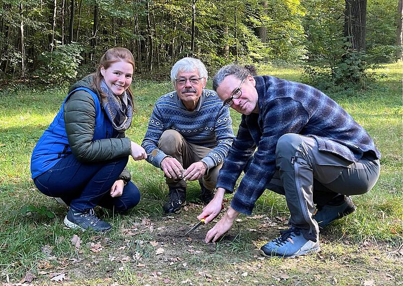In Moosach haben Naturschützer vom LBV einen perfekten Standort gefunden – und die schöne Graslilie gerade neu angesiedelt.