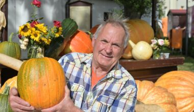 Stadt im Erzgebirge sorgt beim Bauernmarkt am Wochenende für herbstliche Meile