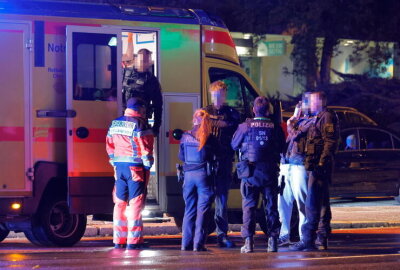 Zwei Verletzte bei nächtlicher Auseinandersetzung in Chemnitzer City - Dort gab es nach ersten Informationen eine körperliche Auseinandersetzung zwischen mehreren Personen.