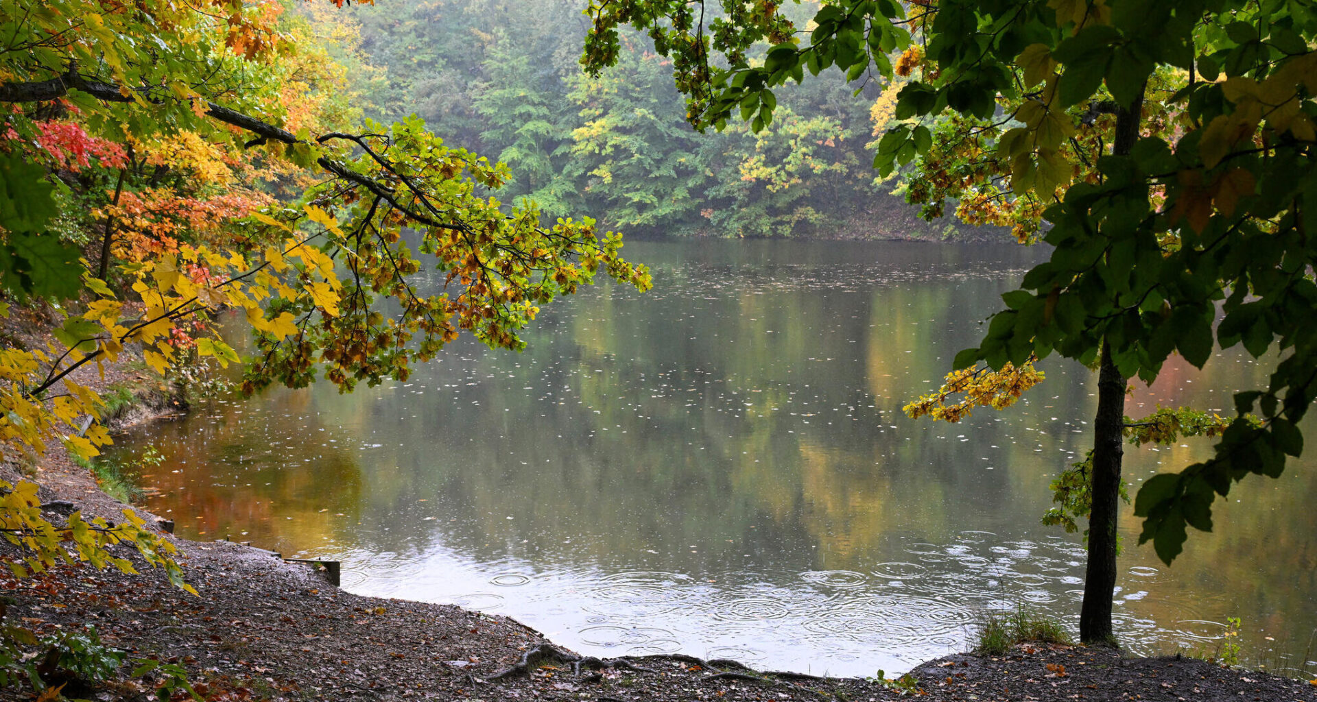Chemnitzer Angler nach eskalierter Kontrolle vor Gericht