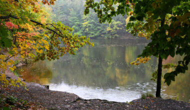 Chemnitzer Angler nach eskalierter Kontrolle vor Gericht