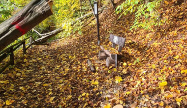 Polizei stoppt Baumfällungen am Schlossberg
