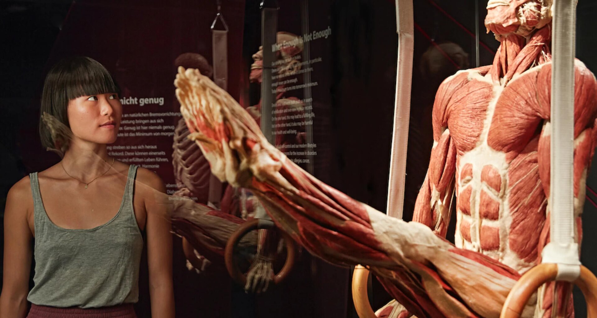 Blicke in das Innere des Menschen