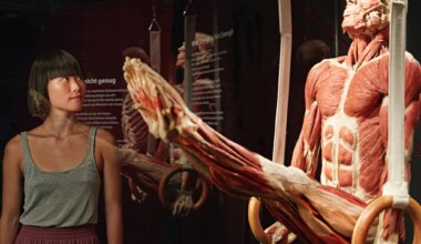 Blicke in das Innere des Menschen