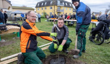 Don-Bosco-Azubis pflanzen acht alte Apfelsorten