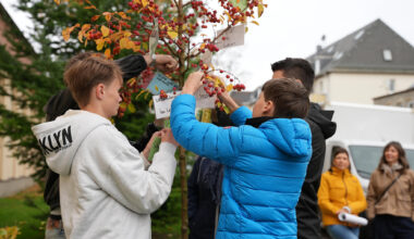 Chemnitzer Schüler lassen ihre Wünsche an Bäumen wachsen