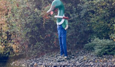 Was hat es mit dem Entenmann am Chemnitzer Schloßteich auf sich?