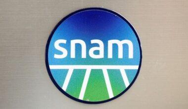 Snam kann nicht ewig auf grünes Licht für Open Grid Europe warten - CEO