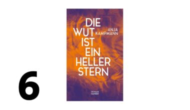 Die Wut ist ein heller Stern