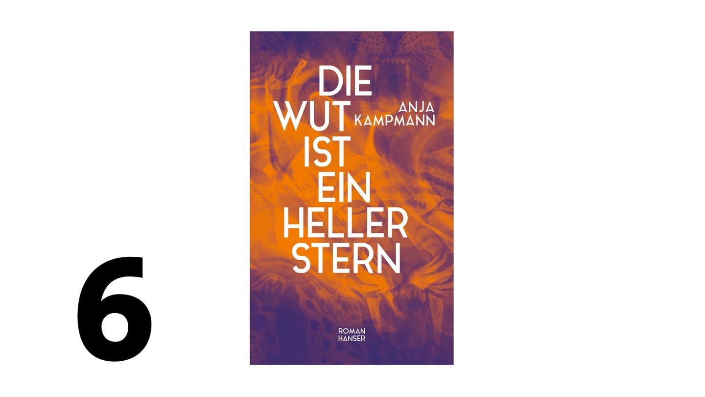 Die Wut ist ein heller Stern