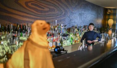 Auszeichnungen: "Bar des Jahres" ist wieder in Berlin zu finden