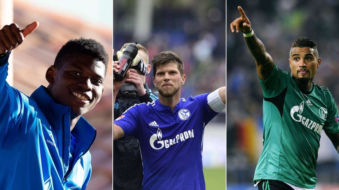 Sturm-Juwel, Vereinslegende und Superstar – Die teuersten Schalke-Zugänge der Vereinsgeschichte