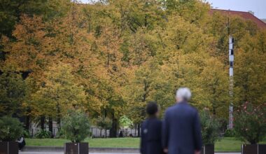 Klimaschutz in Berlin: Weniger Geld für mehr Bäume: Kompromiss ist in Sicht