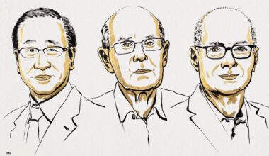 Nobelpreis für Chemie: Chemie-Nobelpreis für Entwickler neuer Molekülstrukturen