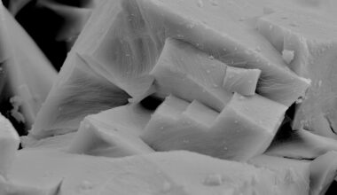 Nobelpreis für Chemie: Hiermit rettet sich der Mensch vielleicht ein wenig vor sich selbst