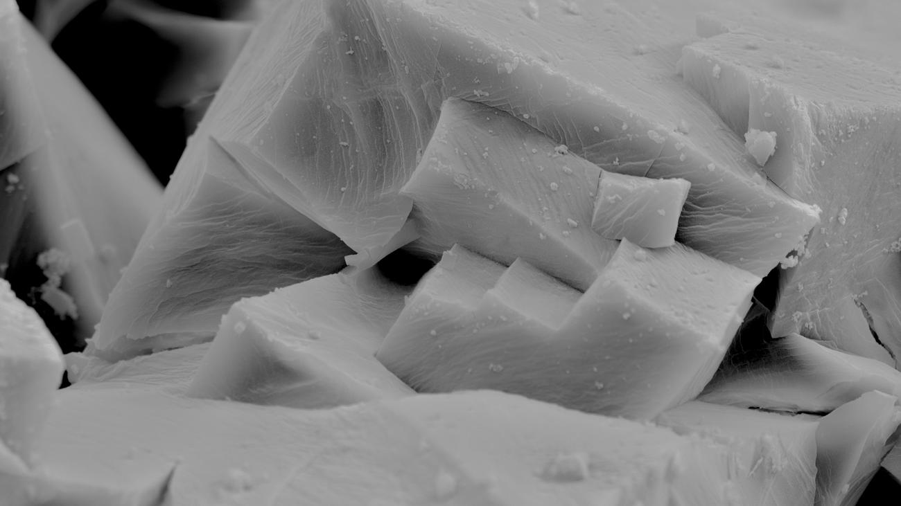 Nobelpreis für Chemie: Hiermit rettet sich der Mensch vielleicht ein wenig vor sich selbst
