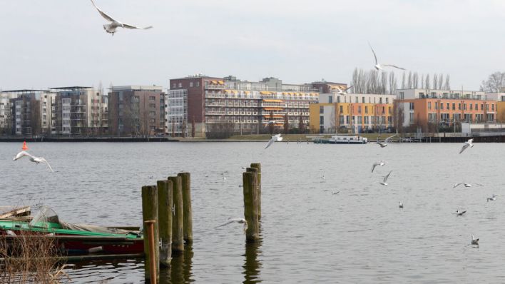 Archivbild: Blick vom Rummelsburger Ufer über die Rummelsburger Spreebucht auf die Wohnhäuser auf der Halbinsel Stralau. (Quelle: dpa/Kalaene)