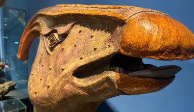 Saurier erobern Mannheim: Dinoausstellung beginnt in den rem