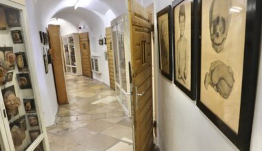 Neue Ausstellung - Narrenturm zeigt Kunstwerke menschlichen Siechtums