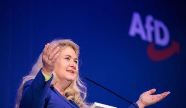 Kristin Brinker, Landesvorsitzende der AfD Berlin, spricht bei einem Landesparteitag. (Quelle: dpa/Carsten Koall)