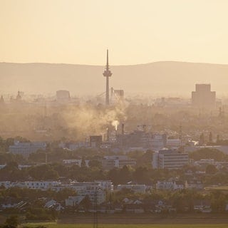 Blick auf Häuser in Mannheim - die Mietpreisbremse in BW soll in einigen Städten wegfallen
