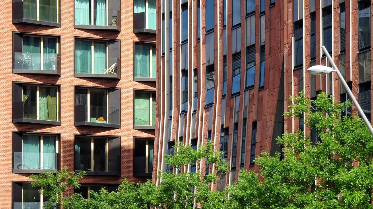 Hamburger Zukunftsentscheid: Der Misstrauensbeweis | DIE ZEIT