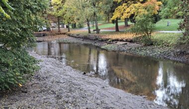 Braunschweig: "Watt-Wanderung" in der Oker? Stadt mit dringendem Appell