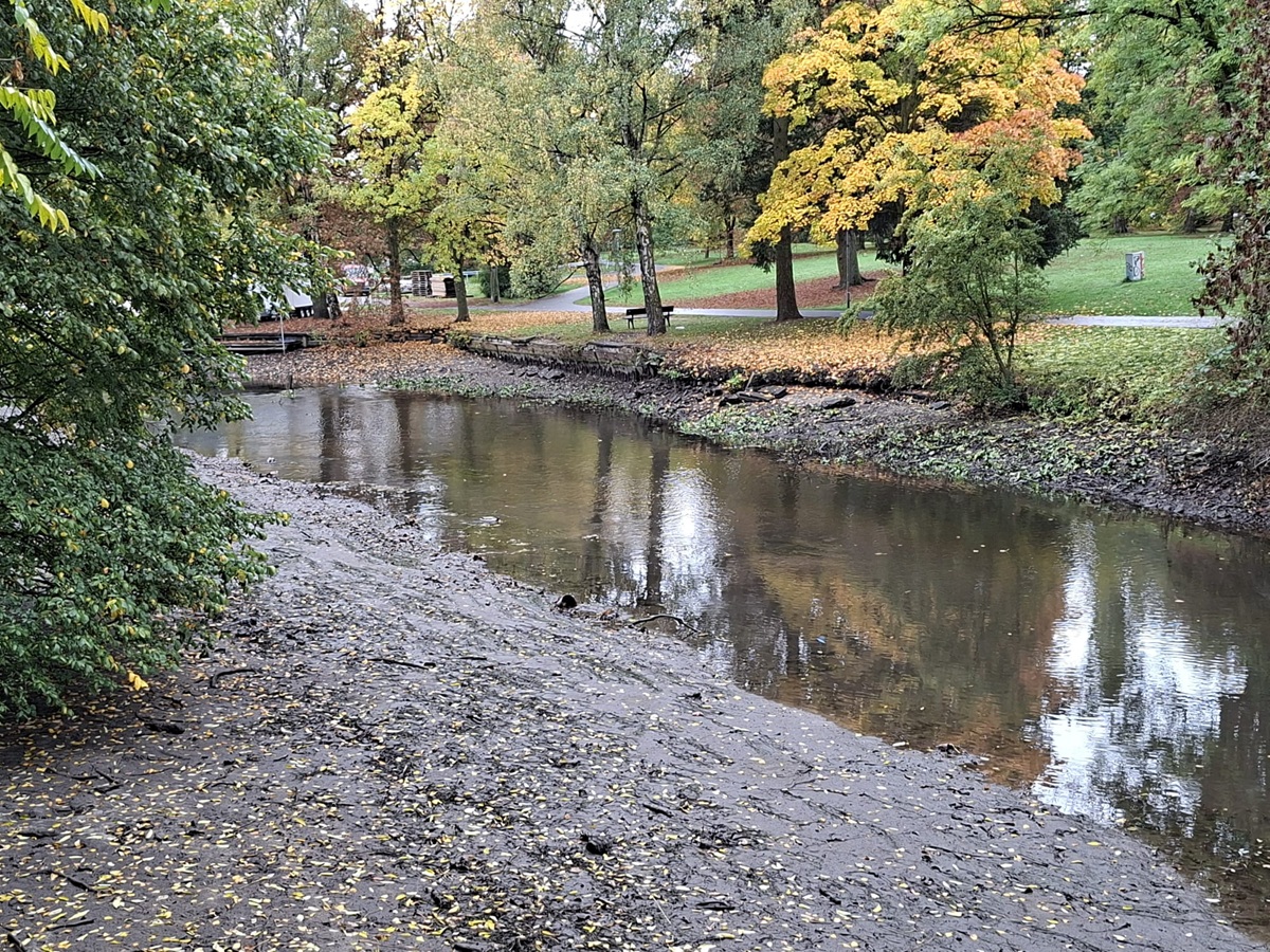 Braunschweig: "Watt-Wanderung" in der Oker? Stadt mit dringendem Appell