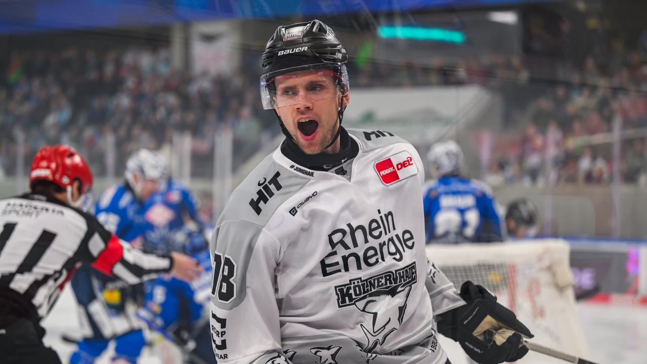 Nächster Sieg in der DEL: Kölner Haie geben sich in Dresden keine Blöße