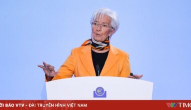 Vietnam.vn - Nền tảng quảng bá Việt Nam