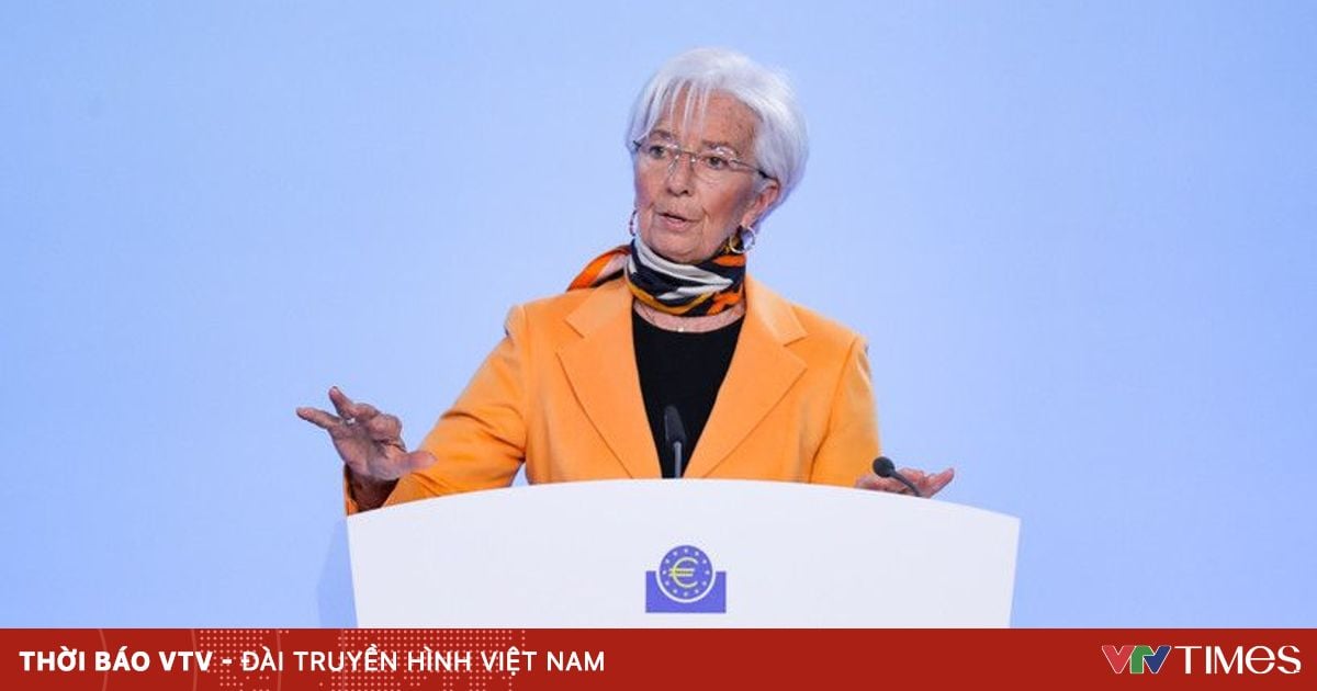 Vietnam.vn - Nền tảng quảng bá Việt Nam