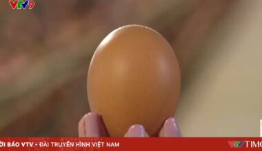 Vietnam.vn - Nền tảng quảng bá Việt Nam