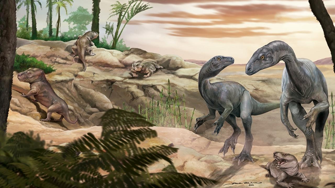 Einer der ältesten Dinosaurier in den argentinischen Anden entdeckt